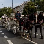 Europejski Tydzień Mobilności