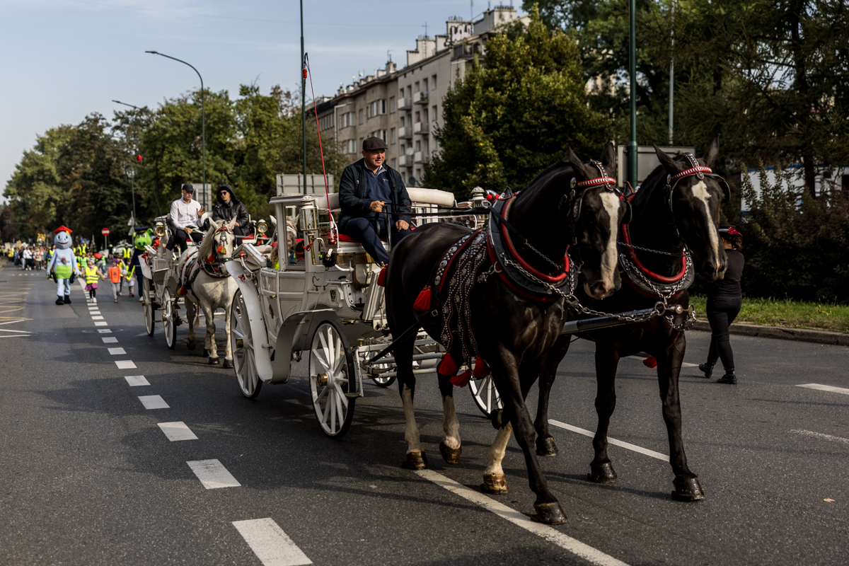 Europejski Tydzień Mobilności