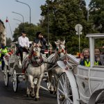 Europejski Tydzień Mobilności