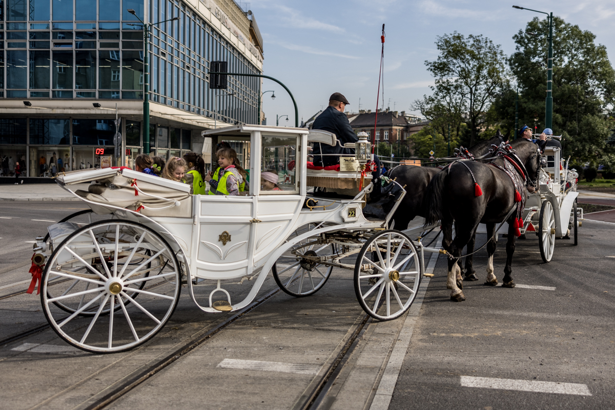 Europejski Tydzień Mobilności