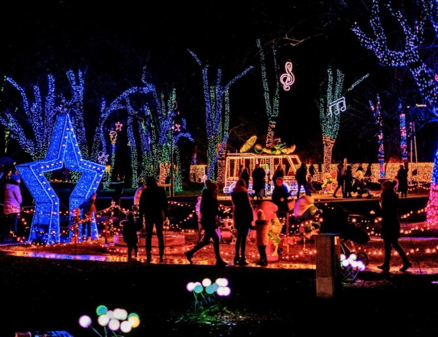 Garden of Lights