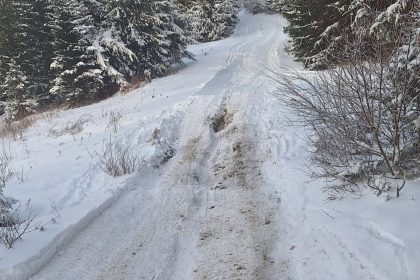 (fot. Facebook / Gmina Nowy Targ - przestrzeń dla Twoich pasji)