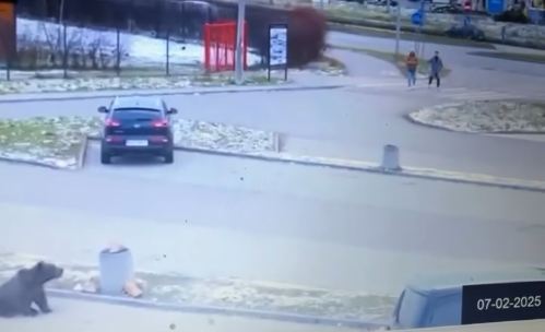 (fot. Facebook / Nowy Sącz Na Wesoło)