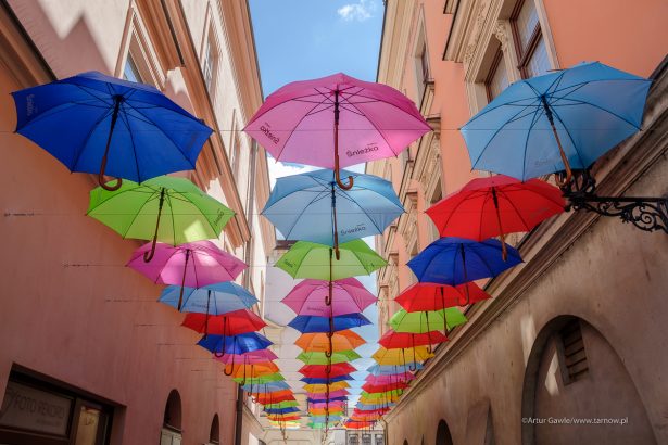 (fot. Artur Gawle / Tarnów.pl)