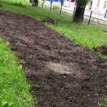 (fot. Straż Miejska Miasta Krakowa)