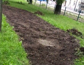 (fot. Straż Miejska Miasta Krakowa)