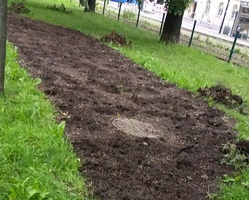 (fot. Straż Miejska Miasta Krakowa)