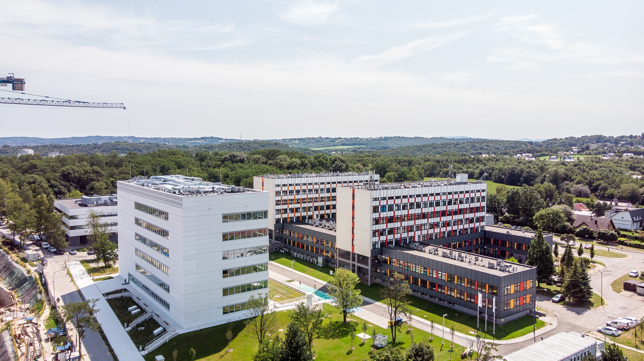 (fot. Uniwersytet Jagielloński - Collegium Medicum)