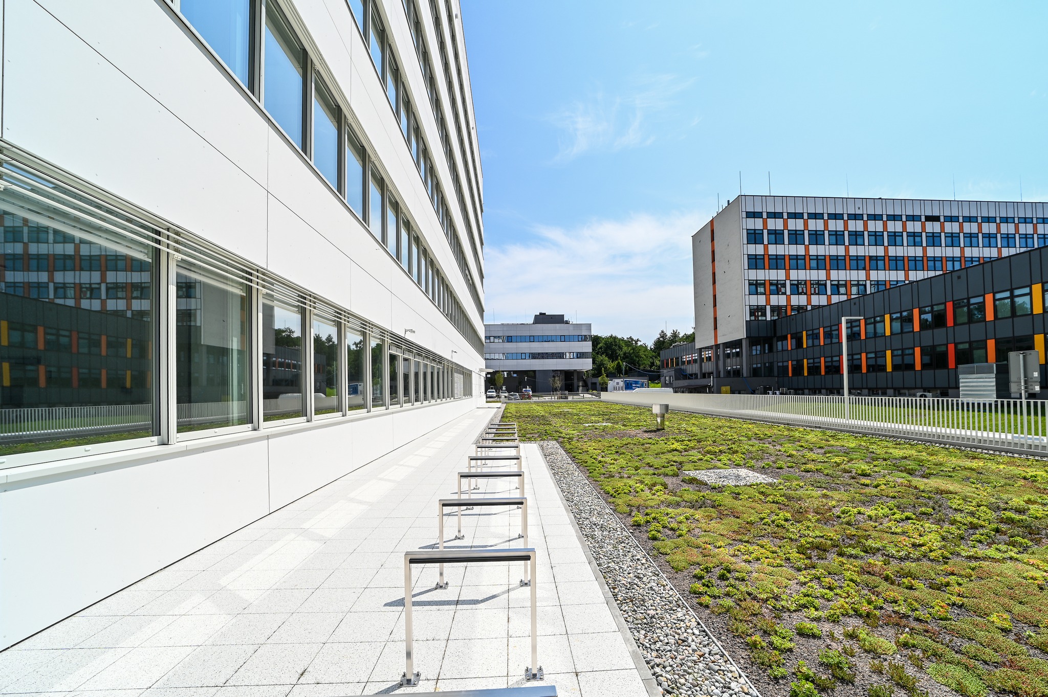 (fot. Uniwersytet Jagielloński - Collegium Medicum)
