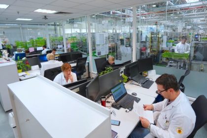 (fot. Valeo.com)