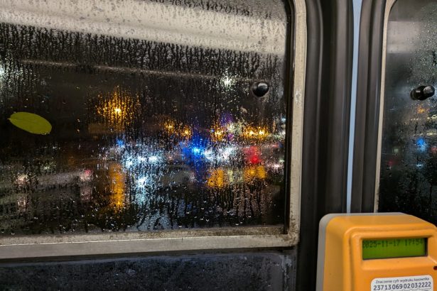 Radość życia w Krakowie