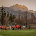 API Arena (fot. Api)