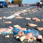 fot. Małopolska Policja