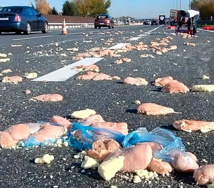 fot. Małopolska Policja