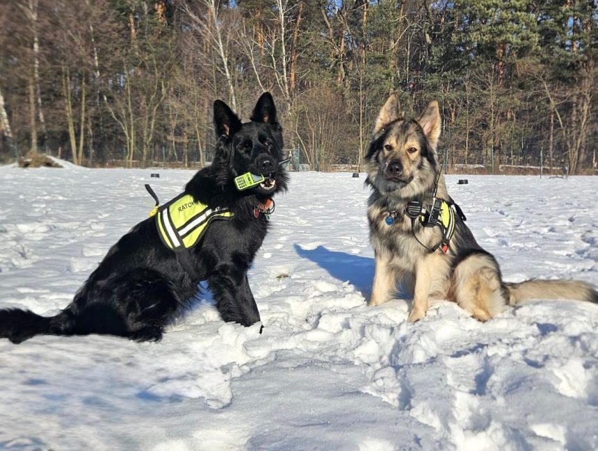 fot. Małopolska Cywilna Grupa Poszukiwawczo-Ratownicza