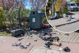 Dziki wysypują śmieci