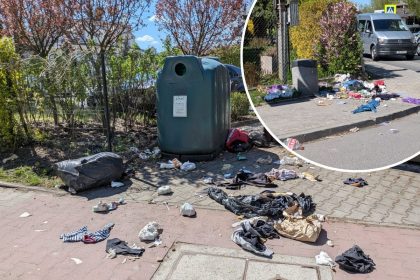 Dziki wysypują śmieci