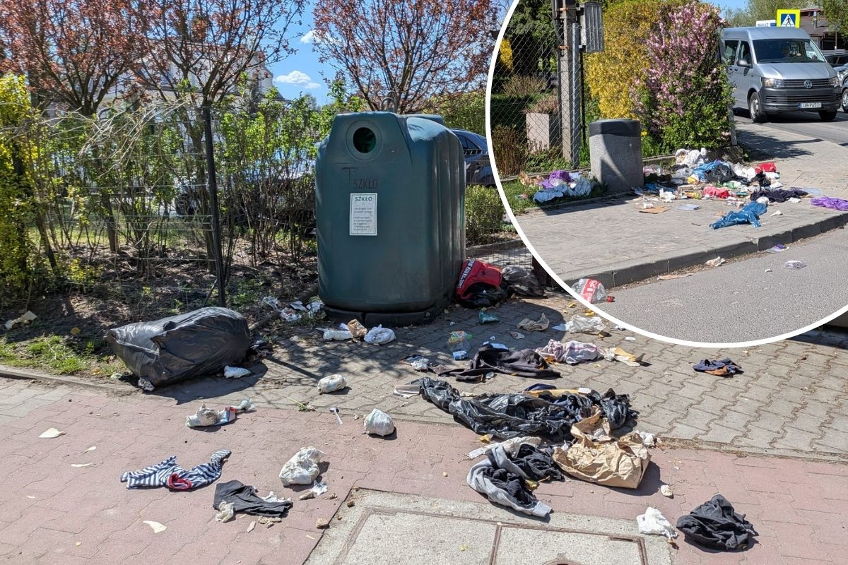 Dziki wysypują śmieci