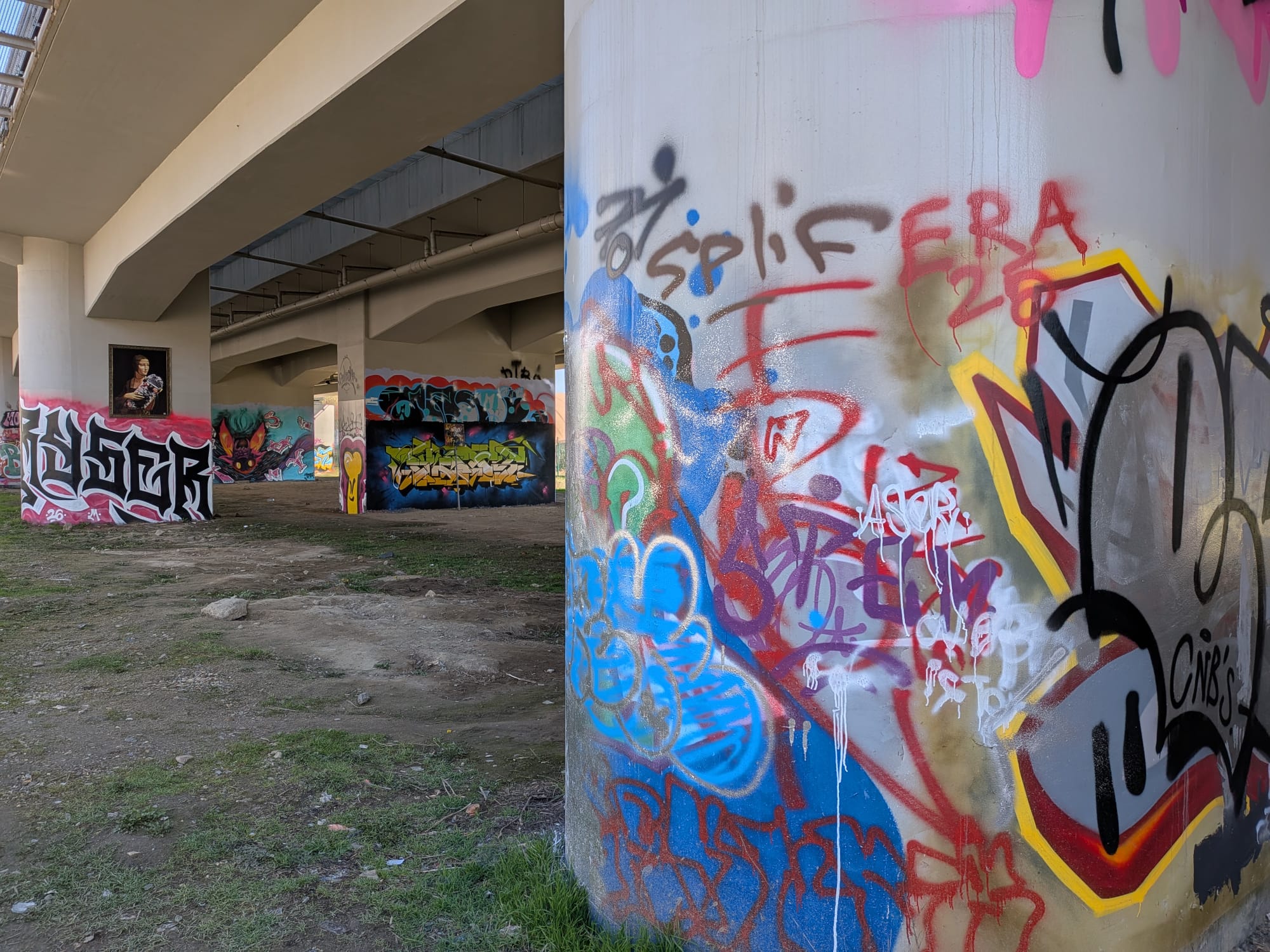 Mural "Dama z deskorolką"