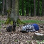 Manewry Małopolskiej Cywilnej Grupy Poszukiwawczo-Ratowniczej (fot. Monika Cywicka)