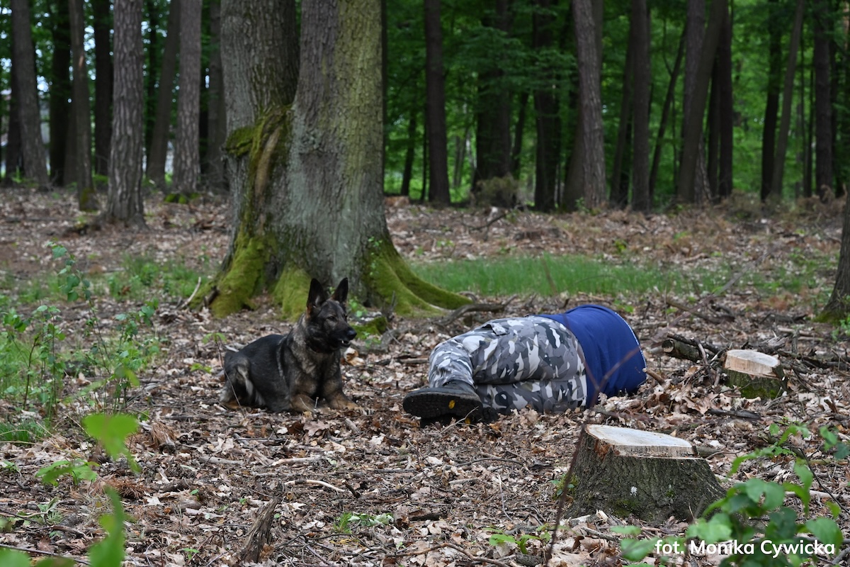Manewry Małopolskiej Cywilnej Grupy Poszukiwawczo-Ratowniczej (fot. Monika Cywicka)